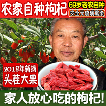 Authentic head stubble premium leave-in large grain wolfberry king Ningxia Zhongning pure natural ready-to-eat frozen wolfberry 500g 1 catty