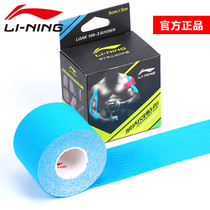 Li Ning muscle paste waterproof breathable elastic exercise bandage intramuscular effect patch anti-muscle strain tape