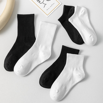 White Socks Womens Midbarrel Socks Summer Thin Cotton Socks Day Ensemble Pure Color Short Socks Spring Autumn Couples Long Socks Mans Tide