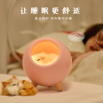 Creative cute little pet house night light rechargeable girl ins female dormitory sleep eye protection bedroom bedside lamp