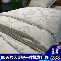 High-end 80 tassel cotton jacquard soybean fiber race down Silk spring and autumn quilt was air-conditioned by the counter