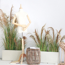 Western Siri Emulation Plant Natural Reed Potted indoor large decorative pendulum piece clothing store restaurant with view green plant