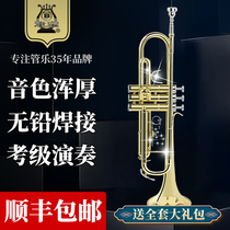 Jinbao trumpet JBTR-300 instrument flat B- down children students beginner professional performance grade lacquered gold musical instrument
