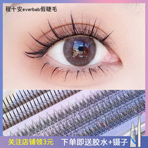 New product everbab Abela false eyelashes single cluster mixed type A fishtail natural false eyelashes fairy hair