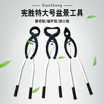 Bonsai special large size coarse branches Rod Tongs Large Branches Open Branches scissors Take bends and styling old branches Ancient Trees Bending Splitting Tools