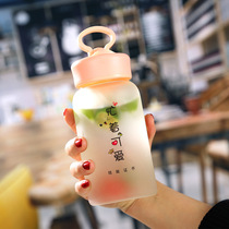 Frosted water cup female cute heat-resistant glass cup simple tea cup portable net red ins creative trend water bottle