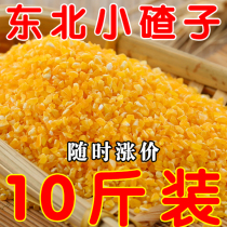 (10 Jin) Northeast corn ballast small ballast corn residue corn residue corn corn residue grits farmhouse self-produced stick porridge Grain bulk