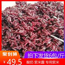 6 pounds]A kefir special purple rice yogurt cow special purple rice A yogurt purple rice dew finished purple rice