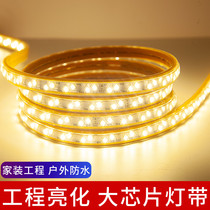led light strip 220V three color variable light home living room ceiling strip color rgb light bar outdoor waterproof soft light bar