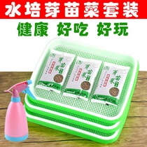 Sprout vegetable nursery plate tray Soilless cultivation hydroponic vegetable germination basin Household bean sprout equipment Bean sprout planting basin