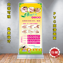 Childrens massage health efficacy publicity poster wall chart opening live activity design door-type display frame easy-pull treasure display board