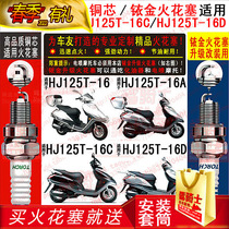 TORCH Copper Core Iridium Gold Spark Plug Applicable Luxury Bell Wooden Sky Hawk HJ125T-16A HJ125T-16A -16C -16D -16D Moto