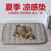 Dog cohorts Seasons Universal Dogs Bed summer machine washable cushions Large canine dogs Pets for pets Golden Fur Summer Cool