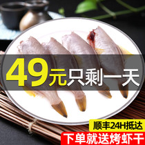 Fresh small consumer fish hot pot ingredients peeling fish rubber fish horse-faced fish Ningbo frozen seafood aquatic products