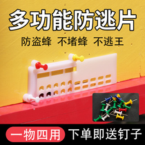 Queen bee anti-running film four-use multi-functional plastic anti-escape film beehive door special bee anti-theft device beekeeping tool