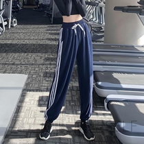 Sports pants womens loose trousers straight tube dance yoga pants autumn and winter high waist wide leg running training fitness pants outside