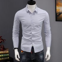  Shirt mens long-sleeved Korean version of the trend autumn pure cotton slim fit all-match solid color shirt youth casual handsome mens inch shirt