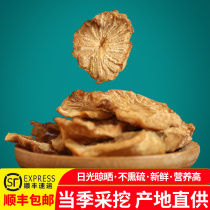 Alxa meat cistanche wild Inner Mongolia special suoyang goat weed tea for men with cistanche fresh dried slices