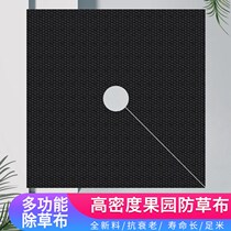 Anti-grass cloth moisturizing horticultural non-woven fabric fabric durable weeding cloth cover grass-suppressing Mulberry degradable fruit tree orchard