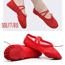 Children Dance Shoes Female Soft Bottom Dancing Skin Color Boy Xia Toddler Cat Paw Body Chinese Ballet Dancer