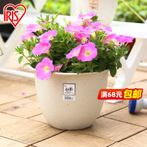 Love Rieth Imitation Ceramic Plastic Large Flower Pot Gardening Round Balcony Species Vegetable Bonsai Simplicity dwarf flower pot Alice