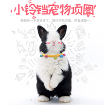 Pet collar Bell jewelry Teddy VIP collar dog rabbit cat guinea pig squirrel Dutch pig leash