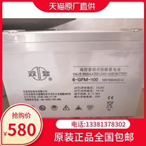 Shuangdeng 6-GFM-10012V100AH maintenance-free computer UPS EPS photovoltaic communication room dedicated