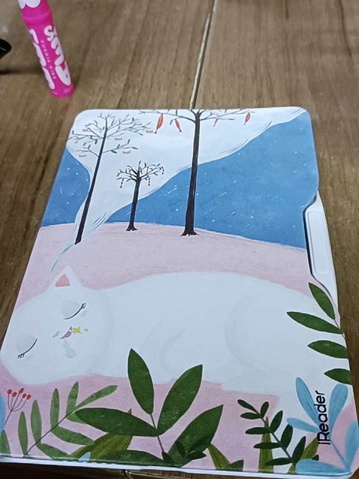 掌阅阅读器电子阅览器/电纸书值不值得买?看完这篇超详细评测再决定!