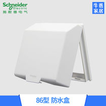 Schneider Tianjia series waterproof switch socket Wall panel waterproof box Splash-proof and dust-proof