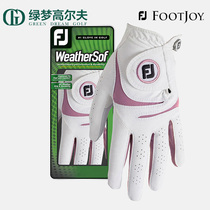 FootJoy Golf Gloves Ladies FJ WeatherSof Professional Performance Comfortable Durable Hand Gloves