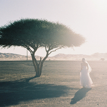 Additional postage difference SF shipping fee