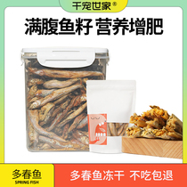 one thousand Pamper Family Multispring Fish Freeze-dried Full Seed Small Fish Dried Young Cat Hair Blush Pet Cat Snacks Whole Family Barrel