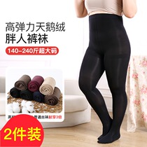 Spring and autumn big code even pantyhose chubby sister 200 catties of bottom silk stockings black mid-thick plus fat increase with no drop of gear