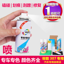 Peugeot 307 car special repair self-spray paint crystal silver Bordeaux red platinum gray blue scratch repair paint
