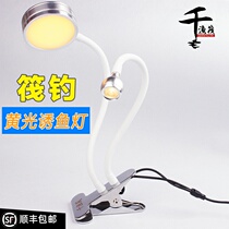  Thousand fishing raft raft fishing light Double-head light stepless dimming raft fishing light Yellow light gather fish to see the rod slightly wide range of lure fish light