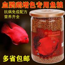 An inch of Gold Blood parrot red color enhancement feed red parrot fish tropical fish ornamental fish rich map fish fish food