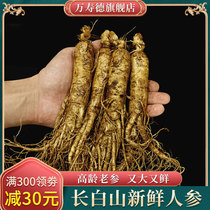 Wanshou De Northeast Changbai Mountain with soil fresh wild ginseng Jilin wild forest ginseng wine soup gift box