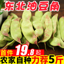 Pure Fragrant Fruit Northeast Oil Peas Fresh Seasonal Sweet Beans 5kg Whole Box of Beans Green Peas Corn Lentils