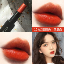 Rotten Tomatoes color magnet lipstick Matte matte female student aunt color Li Jiaqi affordable European and American niche brands