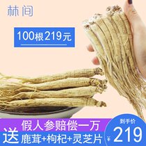 Forest ginseng wild ginseng Changbai Mountain dried ginseng soaked in wine ginseng whole branch tonic raw sun-dried ginseng white ginseng wild