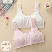 Girls underwear development elementary school pupils pure cotton 12 junior middle school students 13 young girls bras 14 years old double - deck cotton small vest