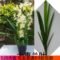 Large Whelan Leaf Silkscreen Flower Material Silk Stocking Accessories Great Broccoli Leaves Handmade Flower DIY Large Green Leaf Flower Arrangement