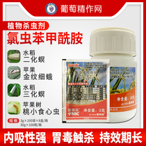 Rich and real Odetotem chloralworms phenylmethanamide rice dimization borer apple carnivora insecticide pesticide