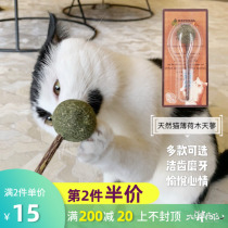 Big fat store KOTA KOTA catnip lollipop natural fresh wood Polygonum molar conditioning gastrointestinal hair