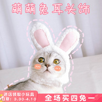 Pet Hat Teddy Cute Rabbit Head Cat Head Shirt Cat Head Dog Head Hat Rabbit Ear