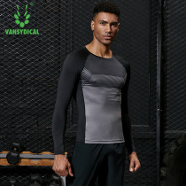 2019 autumn and winter new T-shirt mens elastic sports quick-drying long-sleeved light breathable crew-neck top tight fitness clothes