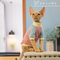GINGERAIN Devon Cat Clothes Sphinx Hairless Cat Kennis Organic Cotton Cotton