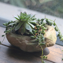  Hengjiate imitation moss cement flower pot Creative succulents flower pot Personalized pot succulents