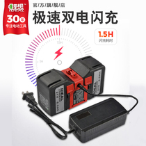 Lithium wants original charger 21v 42V 0164-fsdi