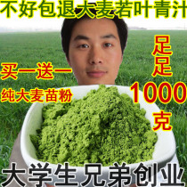 Buy 1 get 1 free Green Juice Barley Wakaba 500g Ant Enzyme Meal Replacement Powder Non-produced Japanese farm Barley Seedling Powder